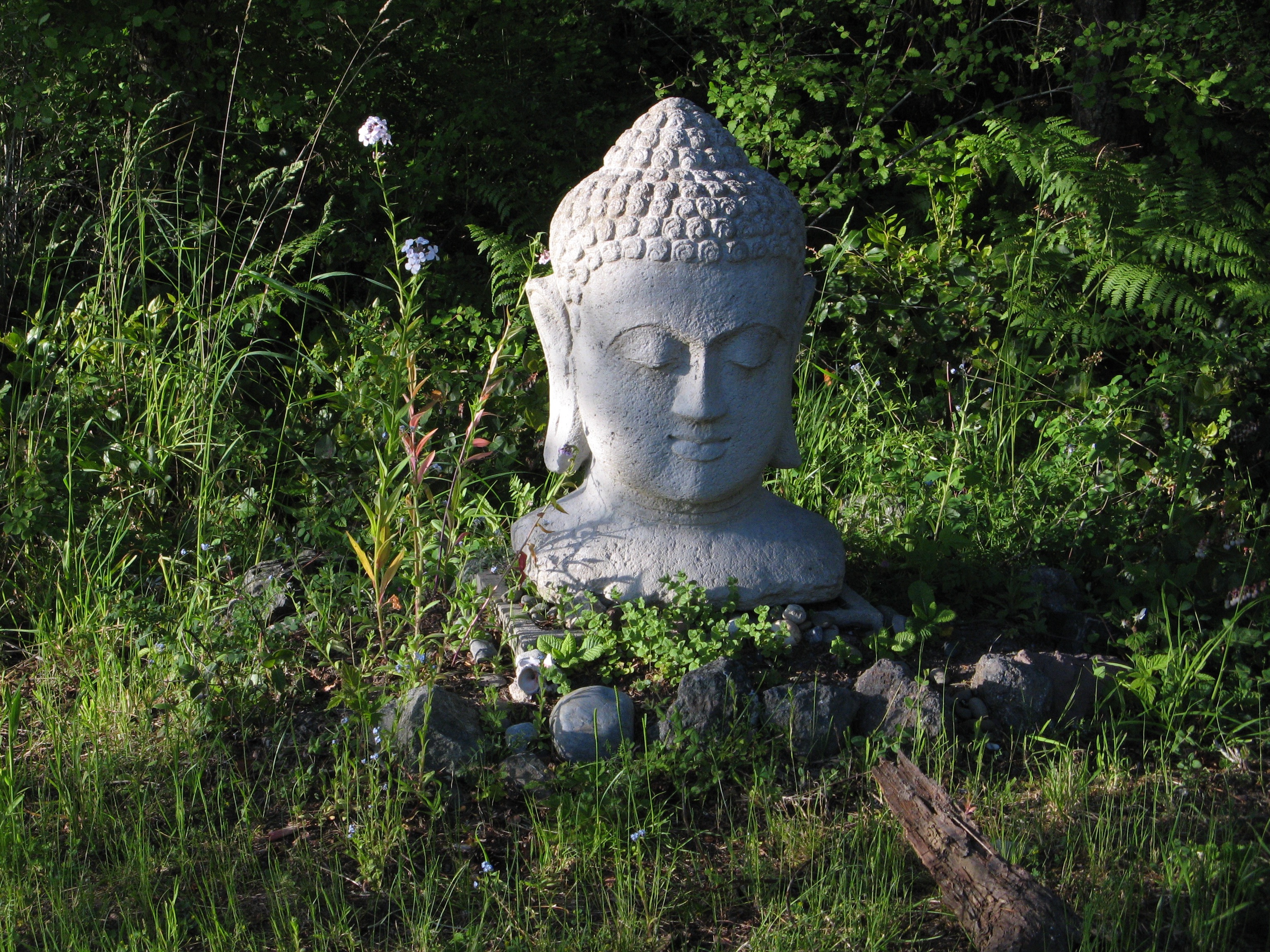 IMG_3083 The Port Townsend Sangha