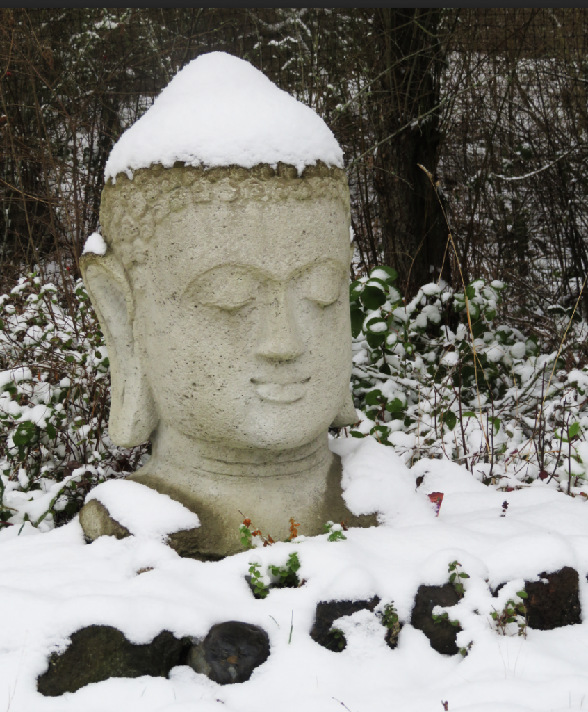 Screen Shot 20210214 at 10.08.44 AM The Port Townsend Sangha